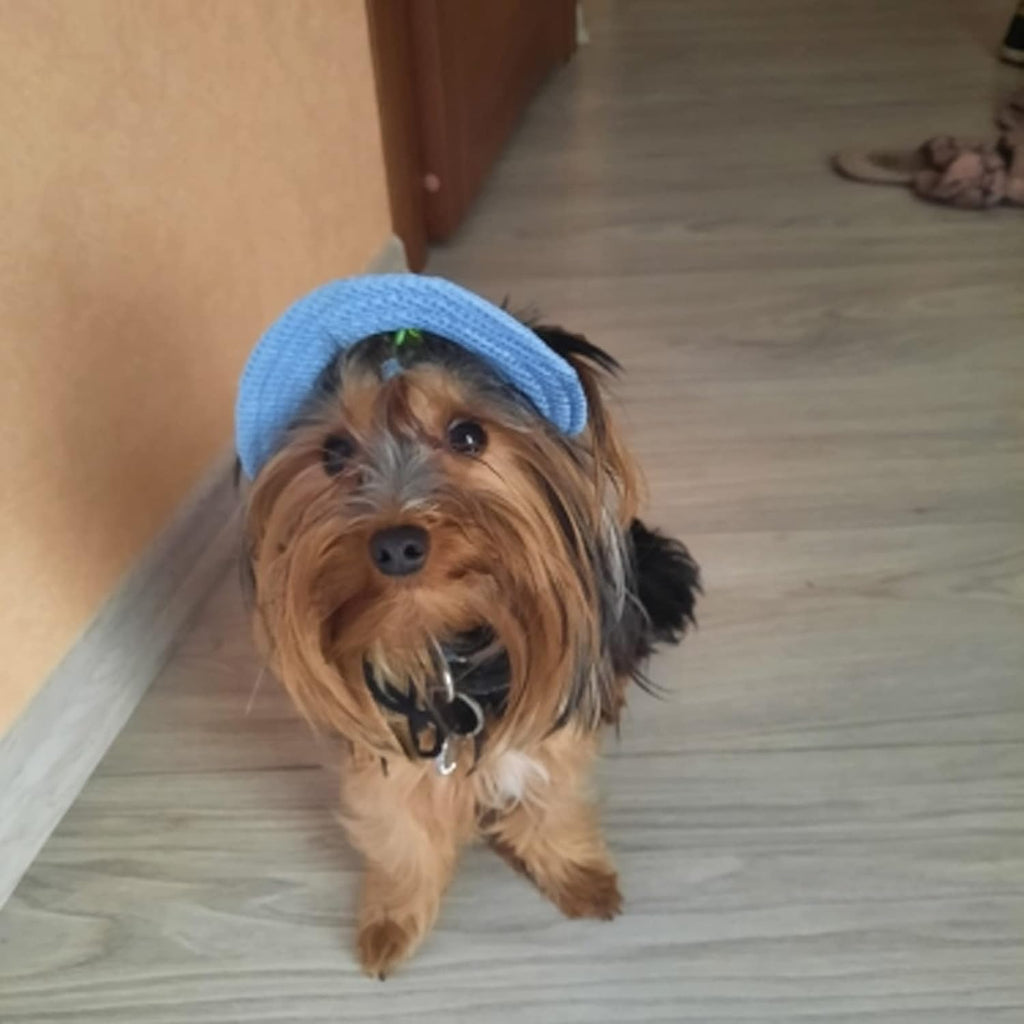 Hundesonnenhut verstellbar S-L mit Ohrloechern und Visier fuer kleine Hunde Katzen