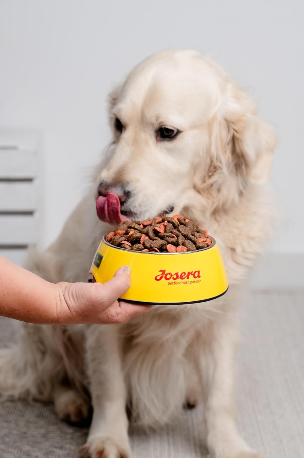 Hundefutter Trockenfutter verschiedene Sorten fuer kleine Rassen