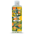 Faith in Nature Shampoo Kokosnuss fuer normales bis trockenes Haar
