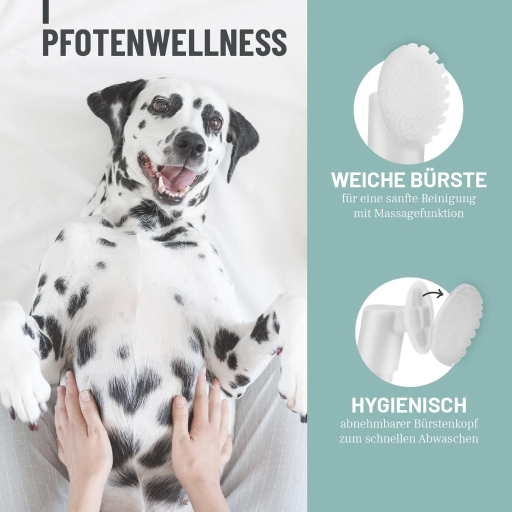 ReaVET Pfotenreiniger Pfotenschaum Hamamelis Gurke Hund Pfotenpflege