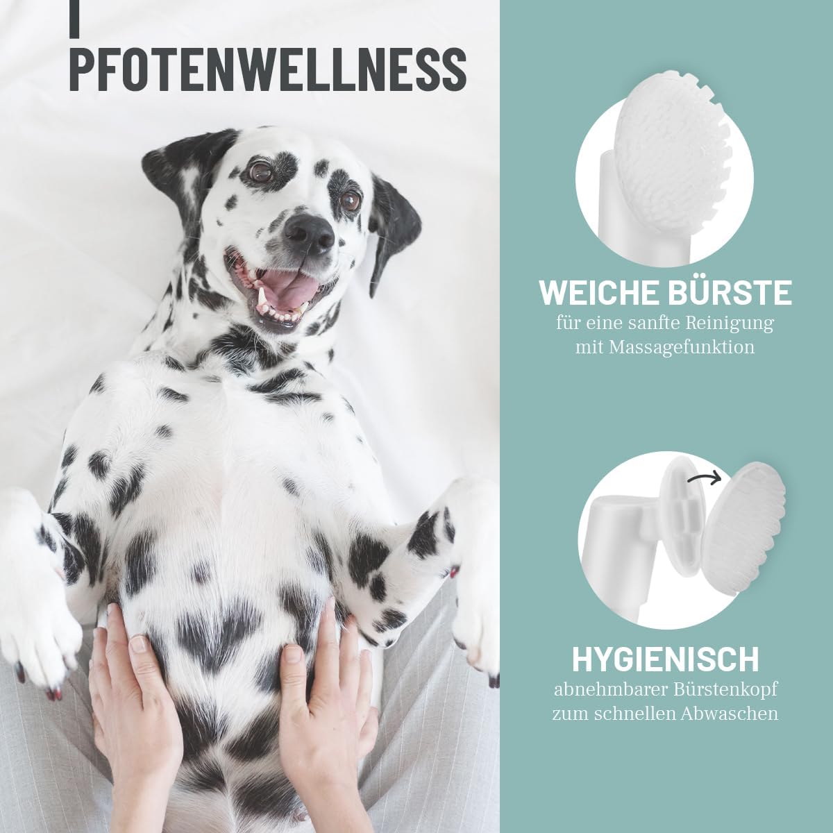 ReaVET Pfotenreiniger Pfotenschaum Hamamelis Gurke Hund Pfotenpflege