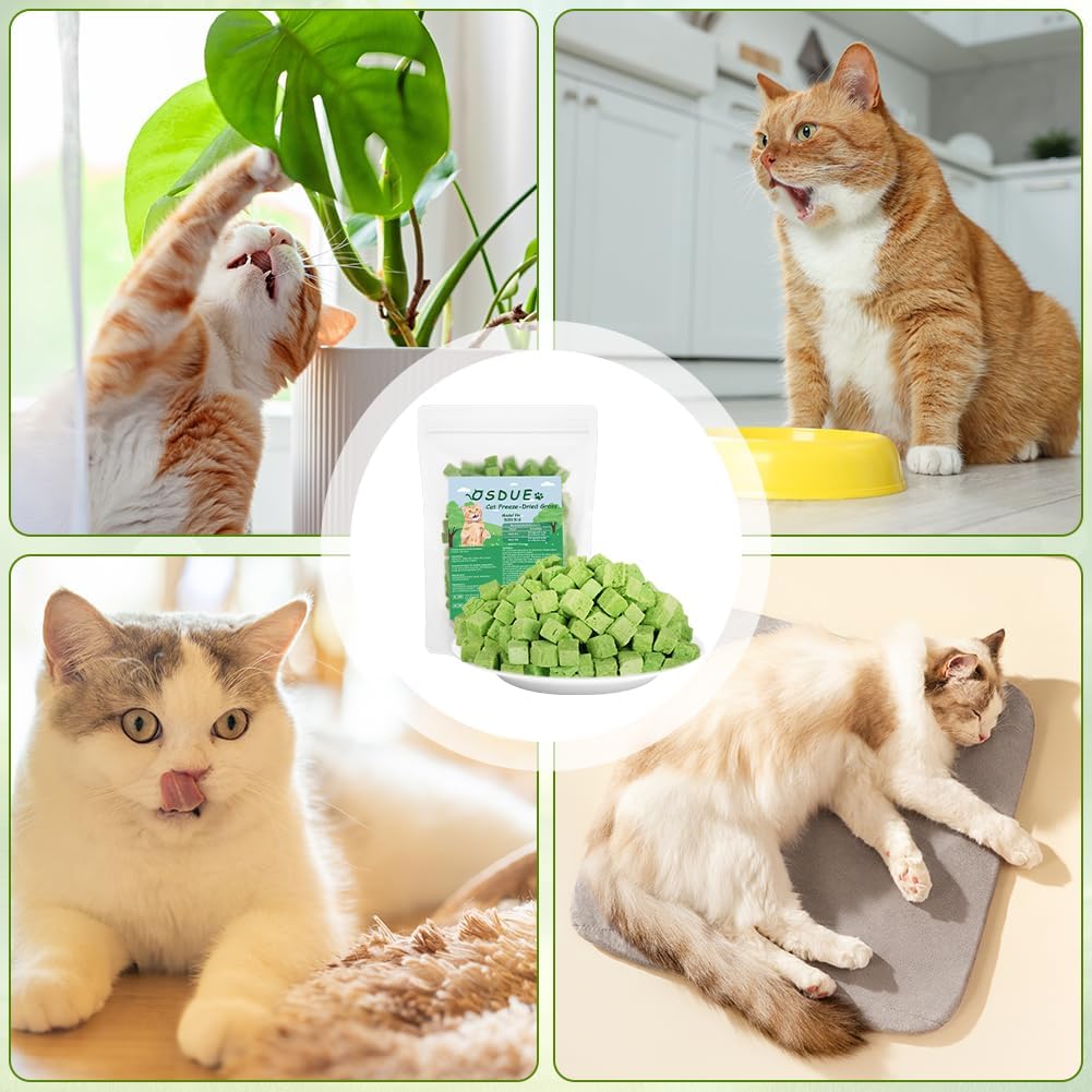 OSDUE Katzengras Sticks Gefriergetrocknet Katzenminze Zahnpflege