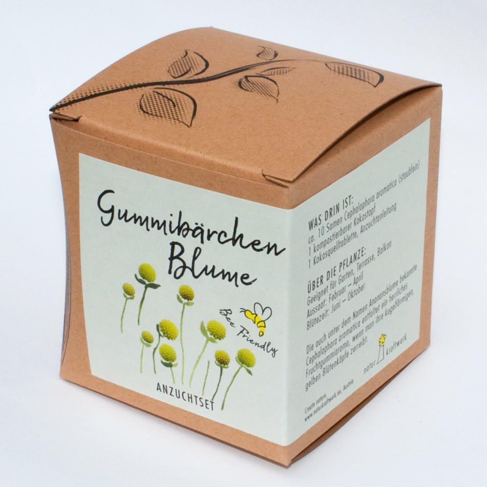 Gummibaerchenblume Anzuchtset 8,7cm Geschenk Pflanzset