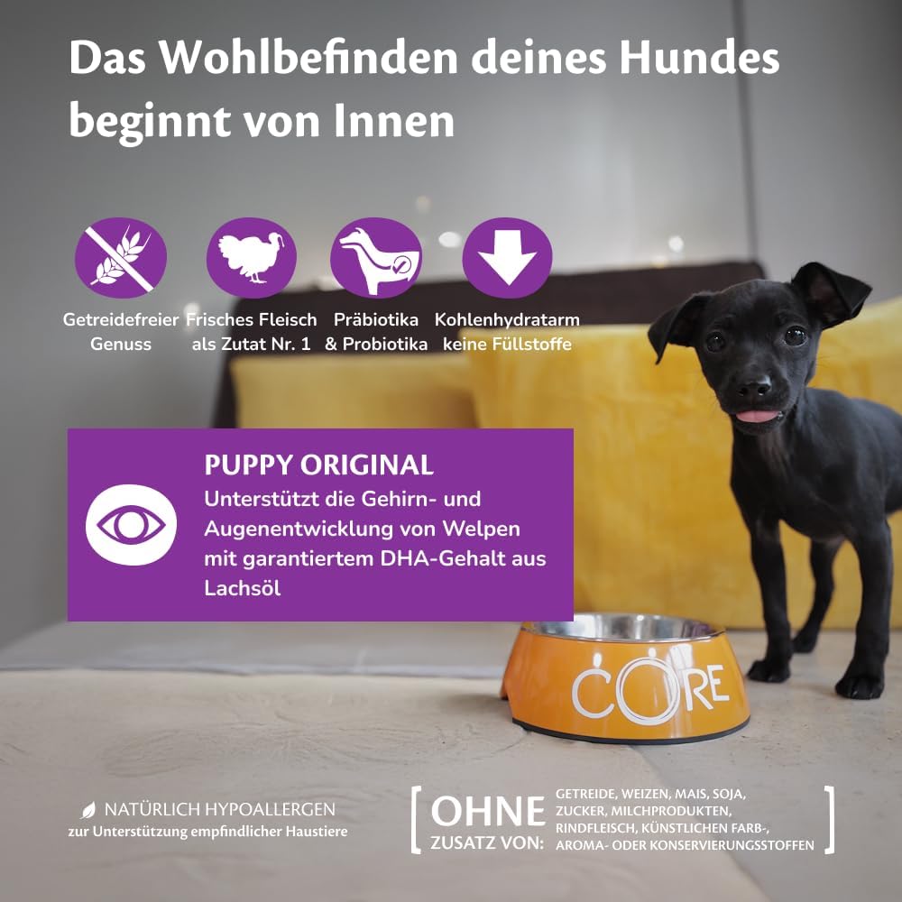 Wellness CORE Hundefutter Nass 6x400g Huhn & Truthahn Pastete