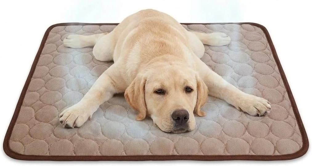 Kuehlmatte fuer Hund und Katze 70x100 cm Waschbar Dunkelbraun selbstkuehlend