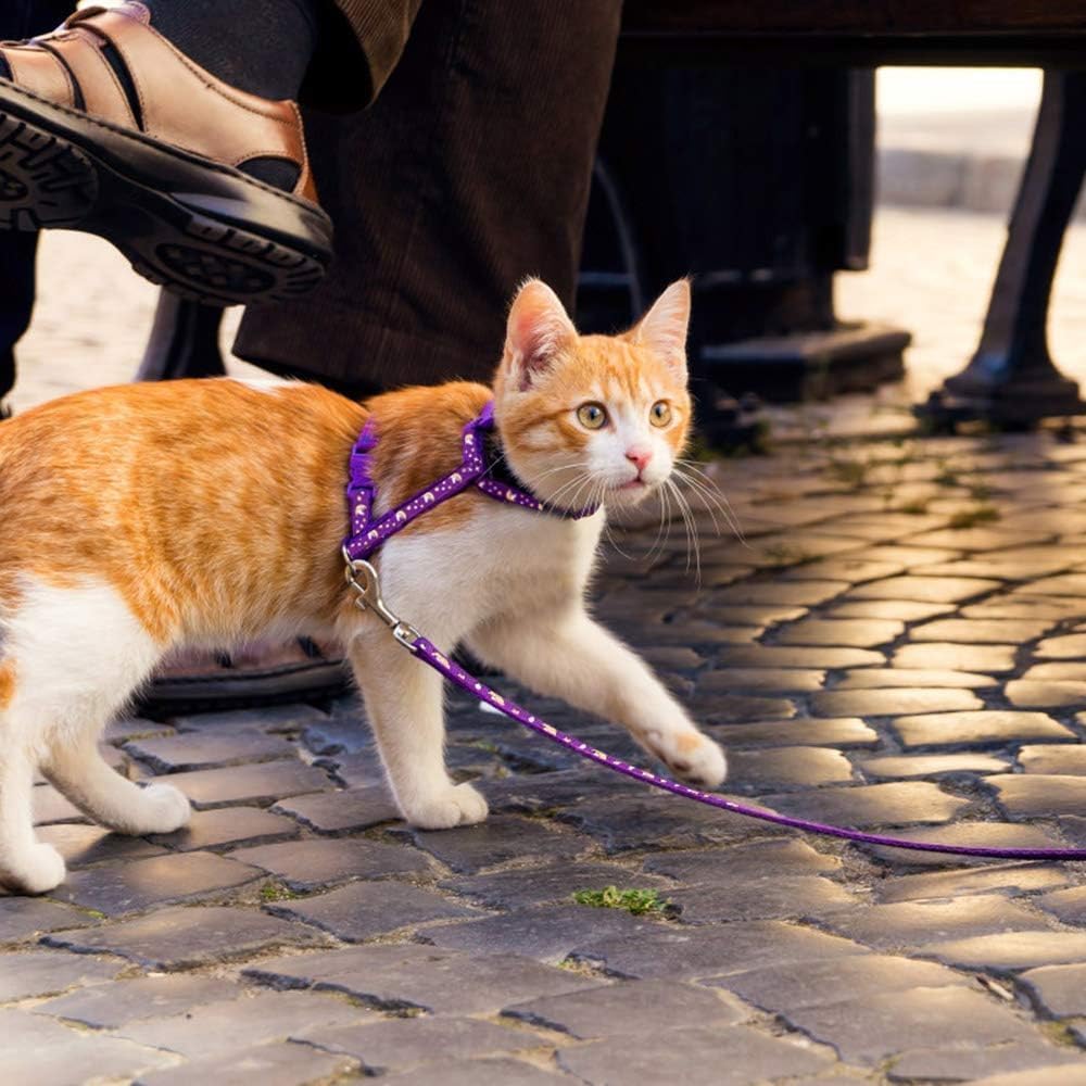 Katzengeschirr verstellbar mit Leine und Sicherheitsverschluss in verschiedenen Farben
