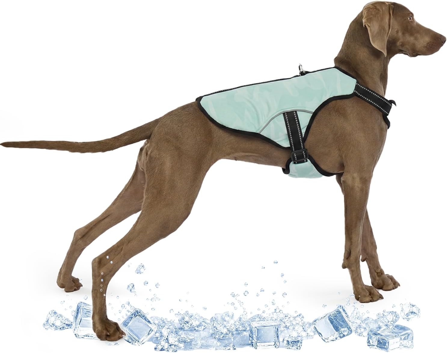 Kuehlweste Hund Grau Gr. M - Hundekuehlweste Kuehlgeschirr Sommer S-XXL