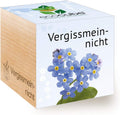 Ecocube Aloe Vera Anzuchtset im Holzwuerfel Zimmerpflanze Geschenk