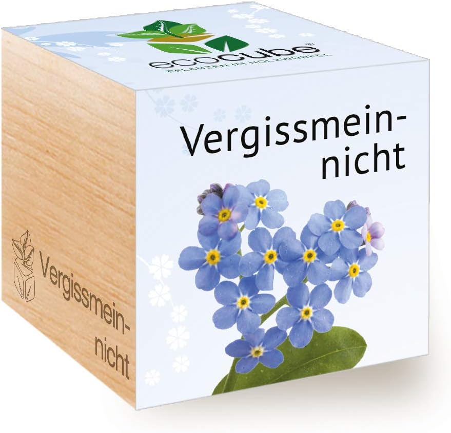 Ecocube Aloe Vera Anzuchtset im Holzwuerfel Zimmerpflanze Geschenk