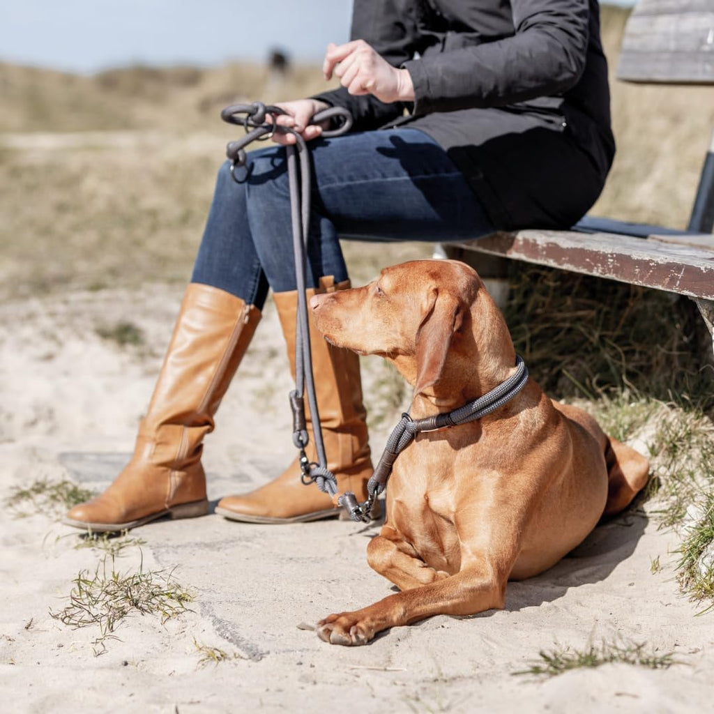 TRIXIE V-Leine verstellbar 2,00 m Durchmesser 13 mm L-XL dunkelgrau braun