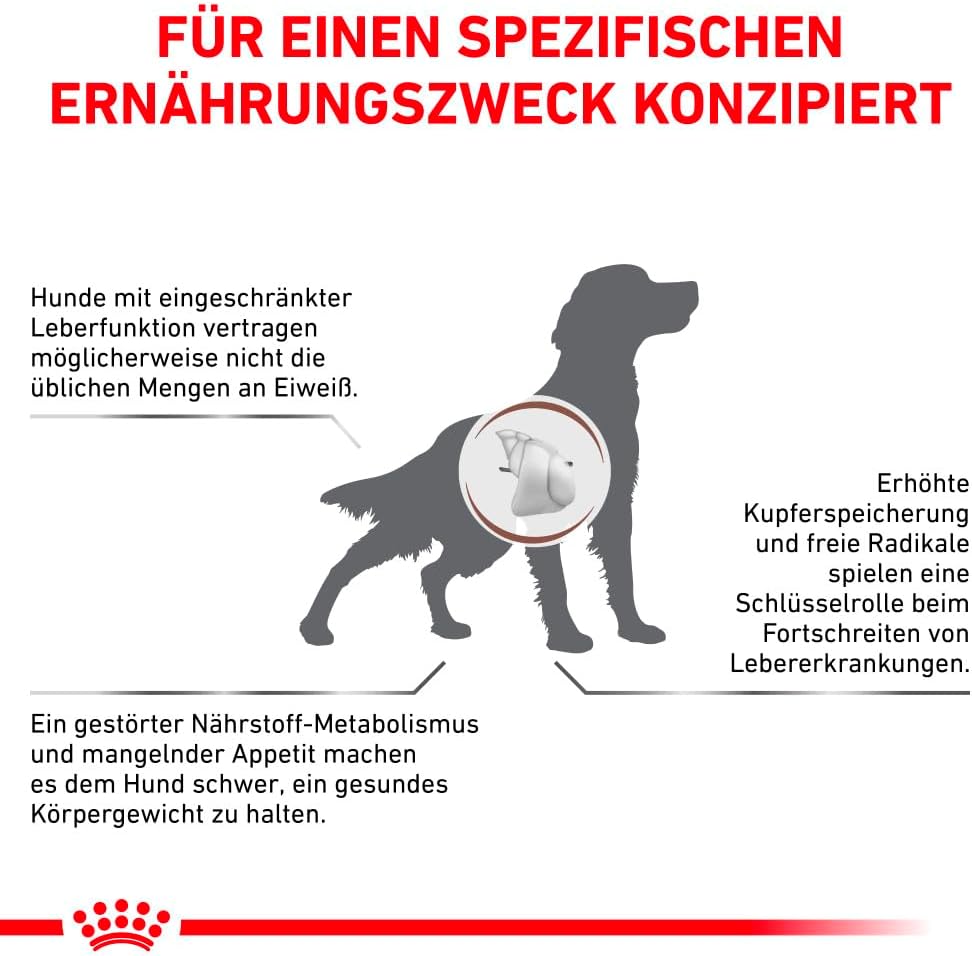 Royal Canin Veterinary Diet Gastrointestinal Hund 2kg Diaetfutter Verdauung