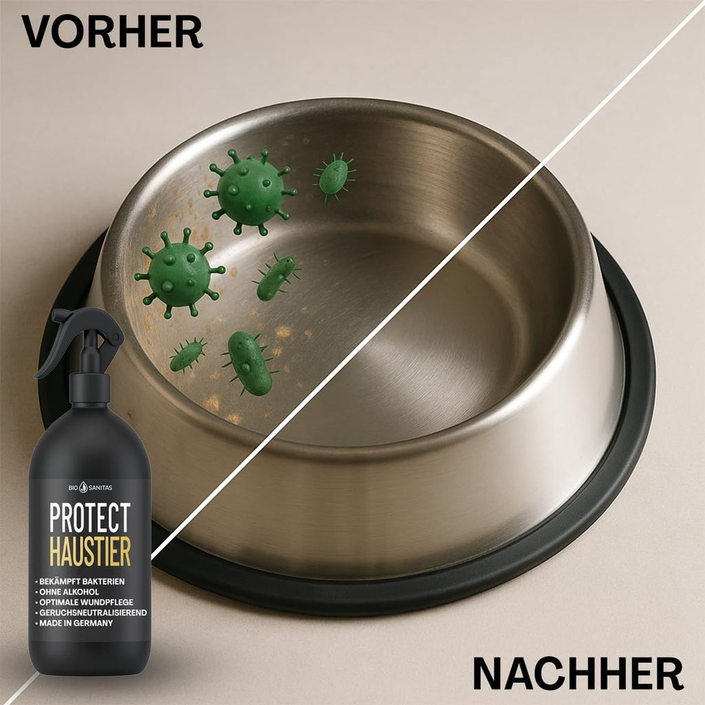 PROTECT Haustier Desinfektionsspray 500 ml alkoholfrei für Hunde und Katzen