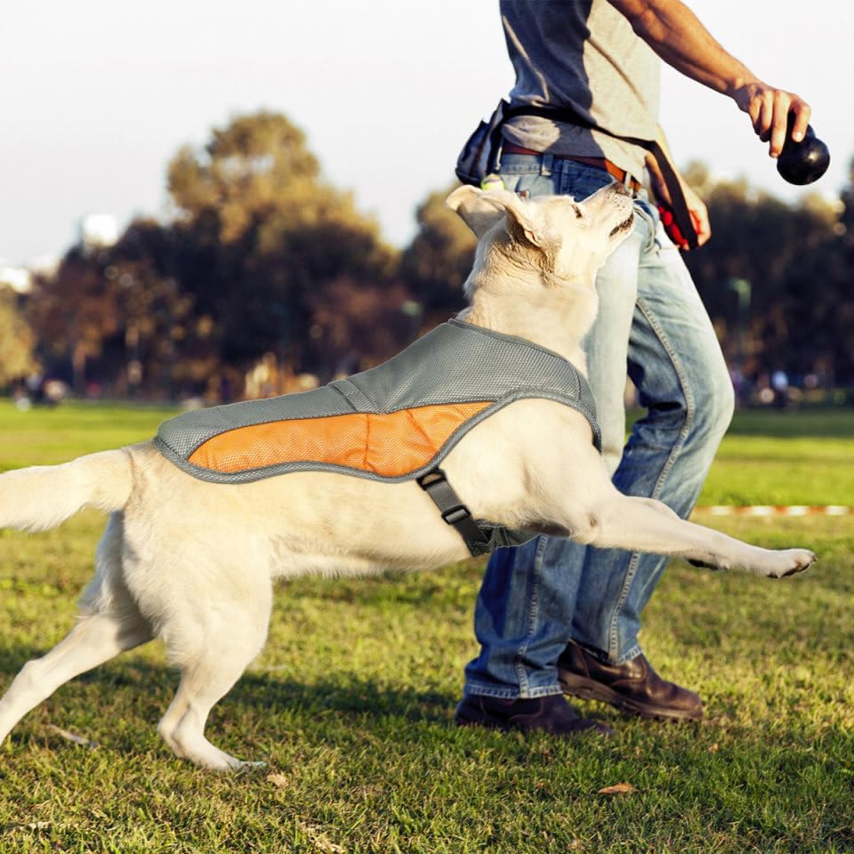 Reflektierende Hundekuehlweste Kuehlgeschirr fuer kleine und grosse Hunde