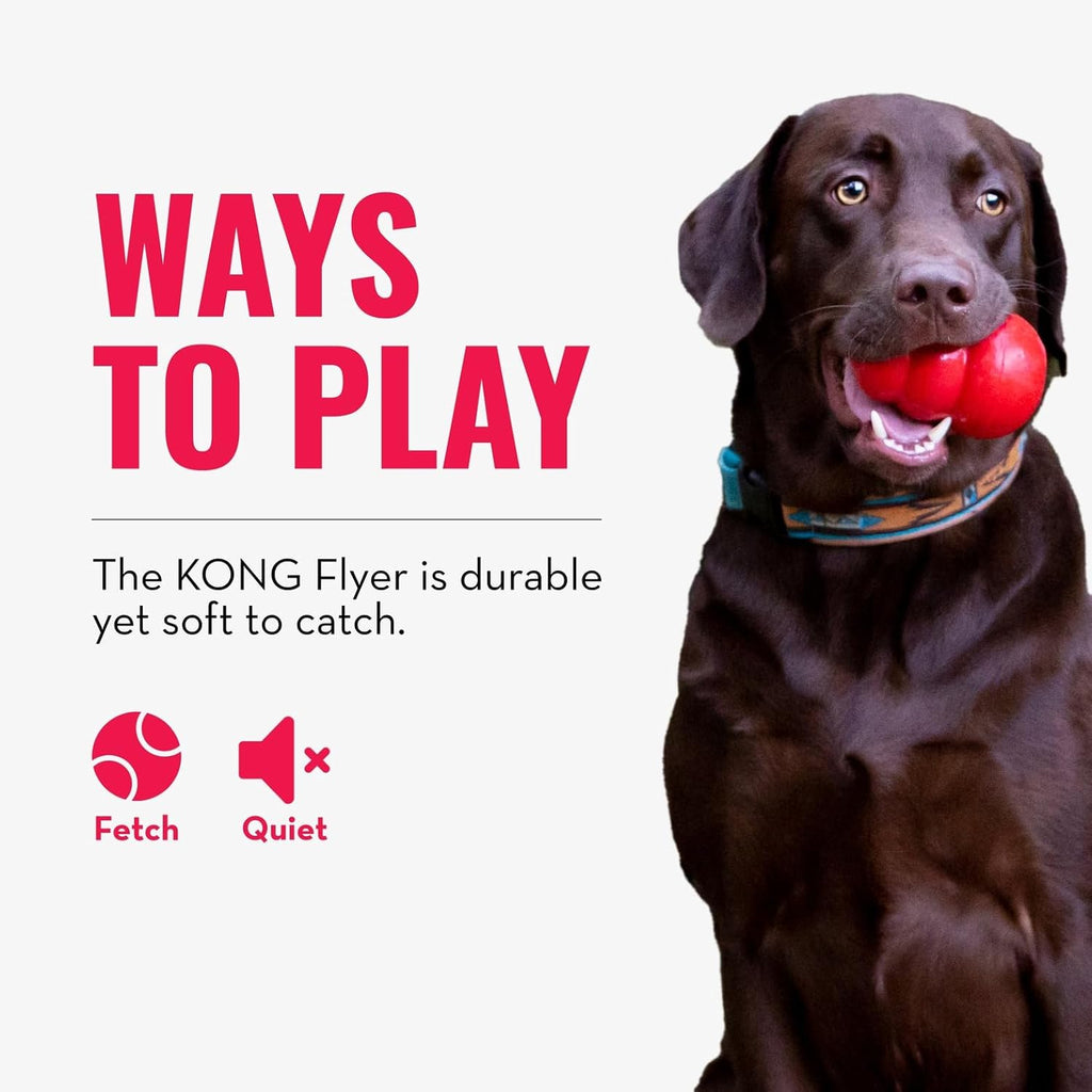 KONG Flyer Wurfscheibe aus Naturkautschuk fuer Hunde