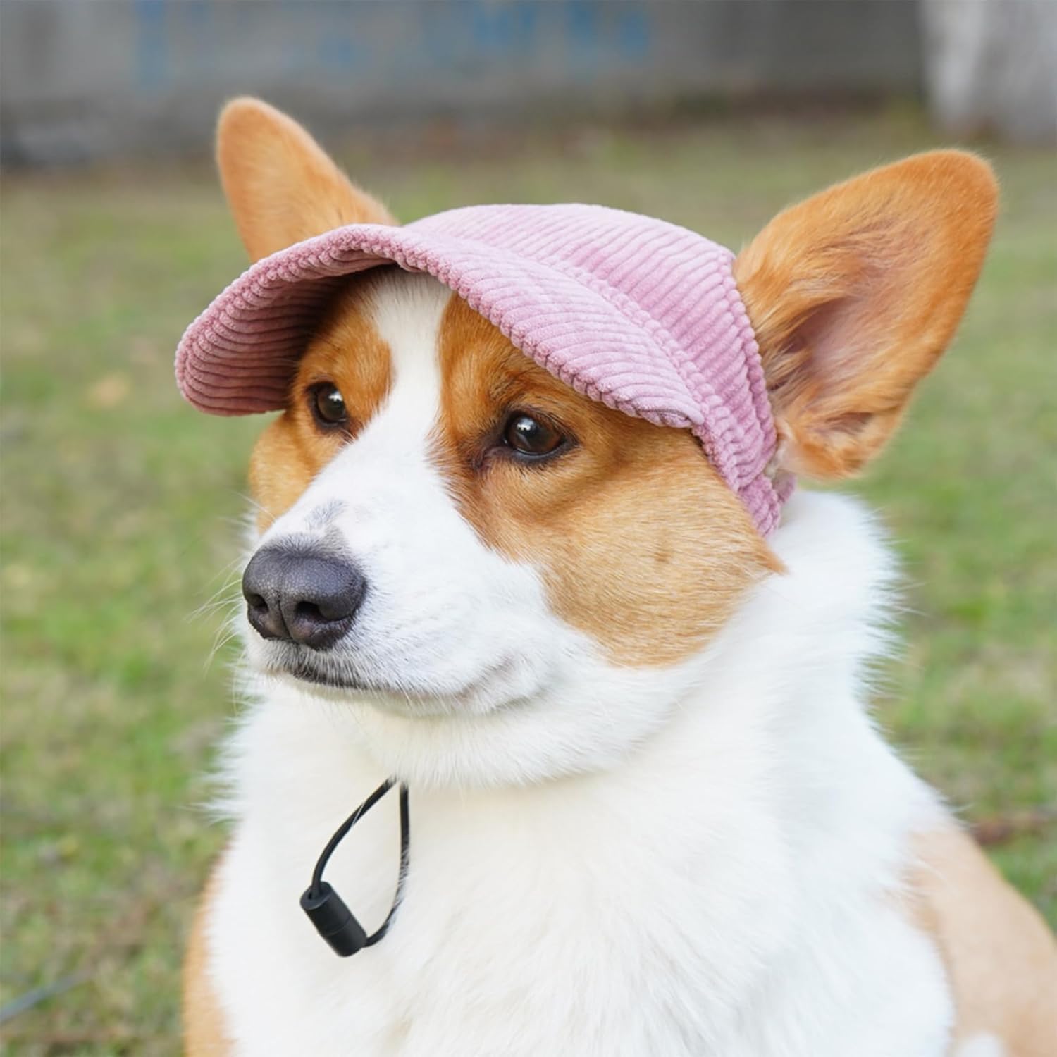 Hunde Baseballmuetze mit Ohrloechern verstellbar S-M Rosa Sonnenschutz