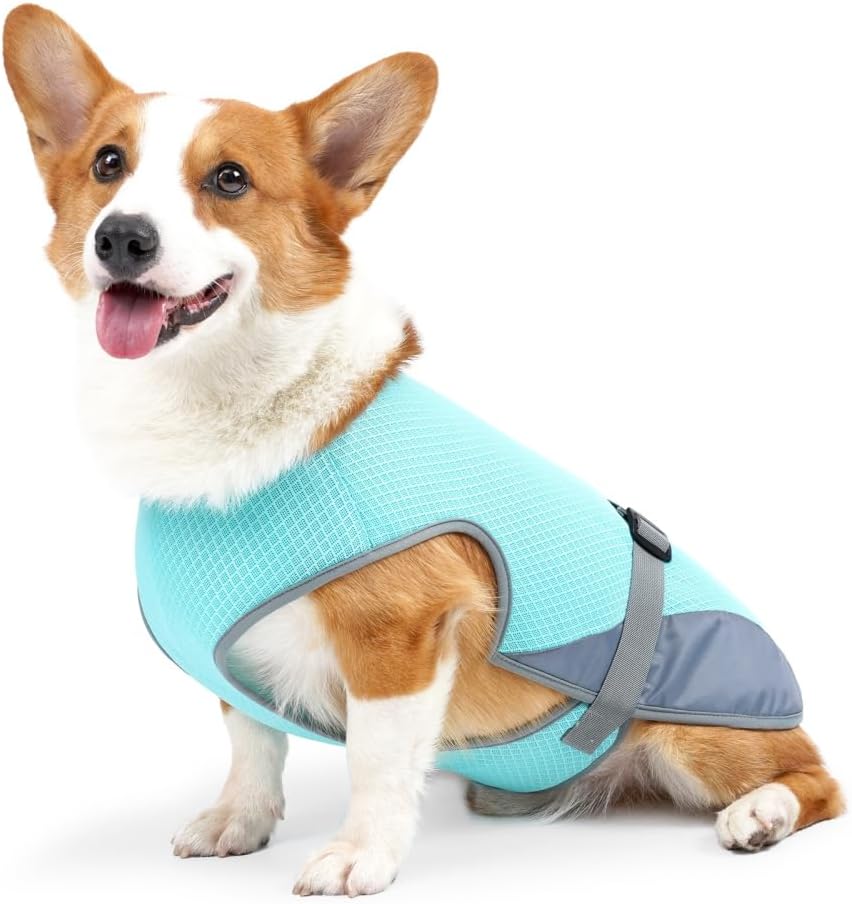 Hunde Kuehlweste S-XL mit verstellbarer Schnalle fuer Jagd Training Camping