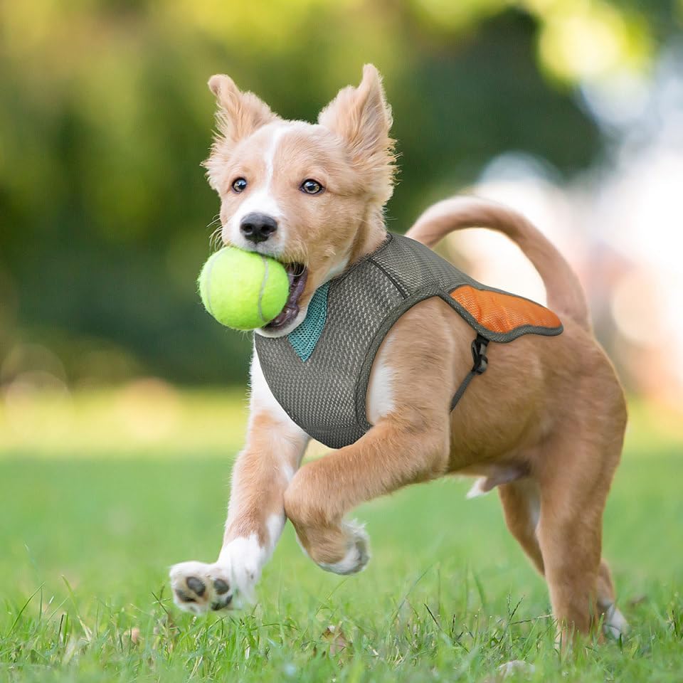 Reflektierende Hundekuehlweste Kuehlgeschirr fuer kleine und grosse Hunde