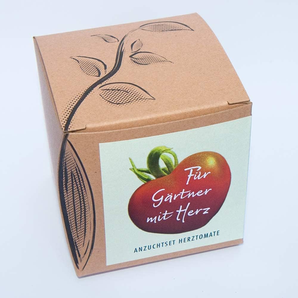 Herztomate Anzuchtset mit seltenen Tomatensamen fuer Hobbygaertner