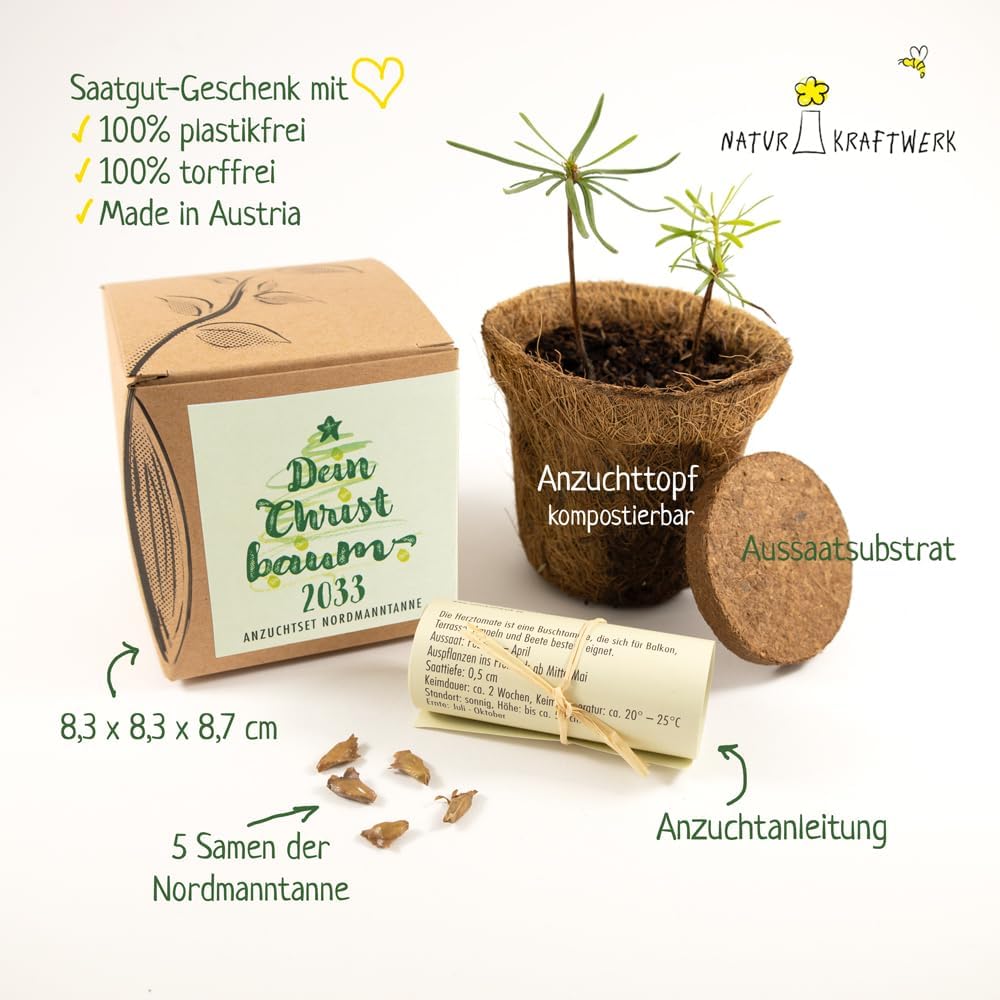 Nordmanntanne Anzuchtset Christbaum Samen Geschenkset Garten Zubehoer