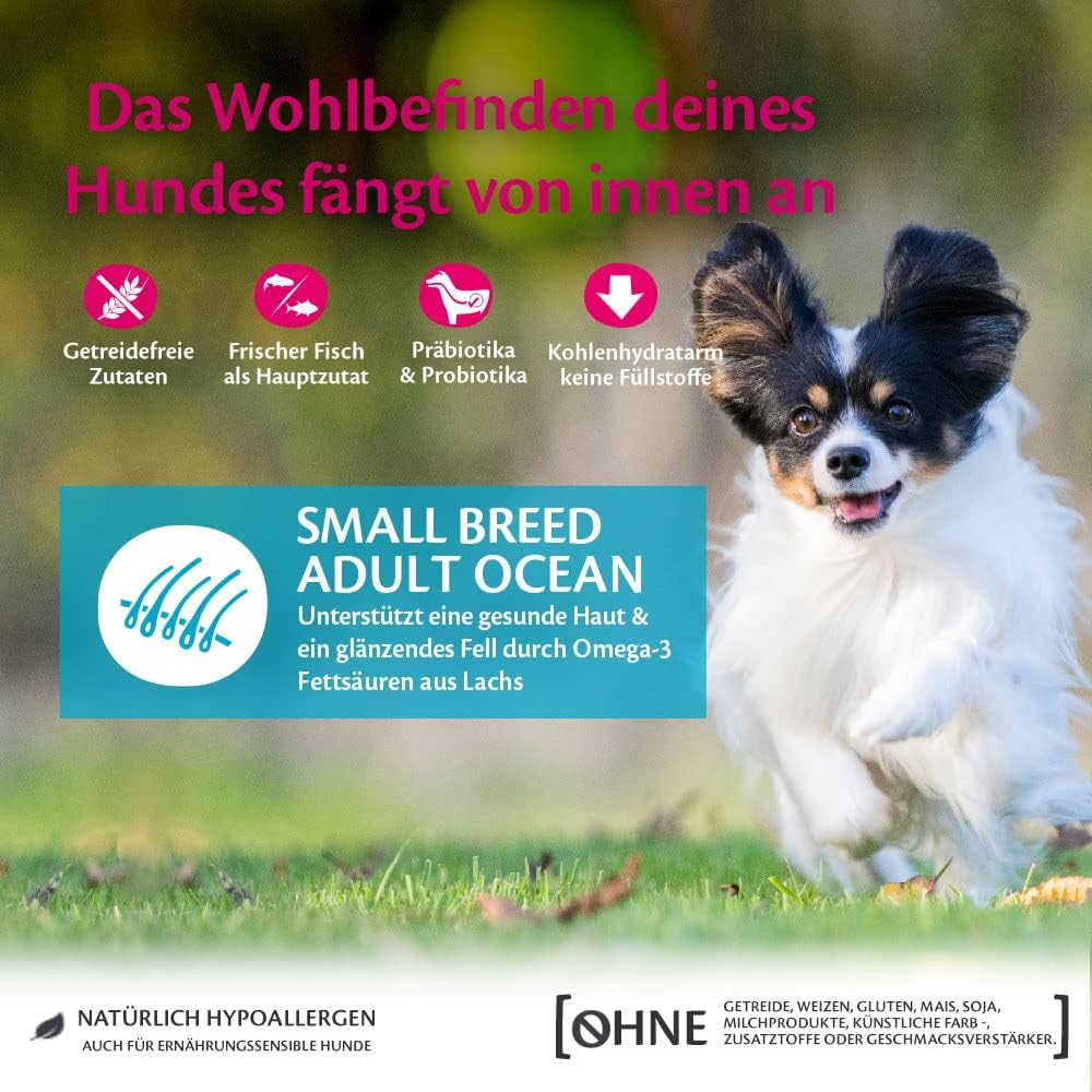 Wellness CORE Ocean Hundefutter Lachs & Thunfisch getreidefrei