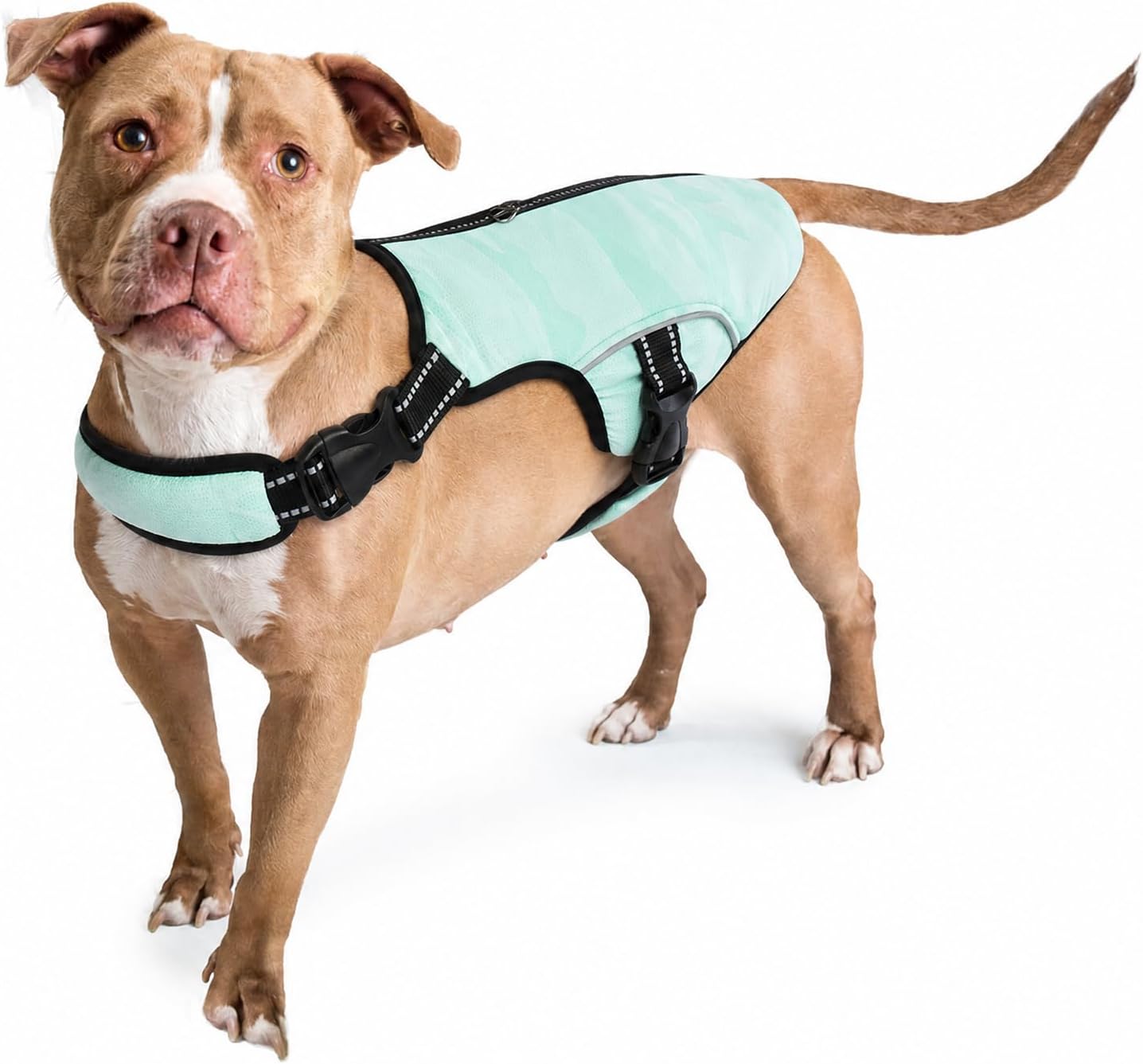 Kuehlweste Hund Grau Gr. M - Hundekuehlweste Kuehlgeschirr Sommer S-XXL