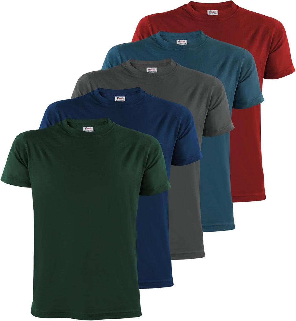 ALPIDEX Herren T-Shirt 5er Set Rundhals 100% Baumwolle einfarbig S-5XL