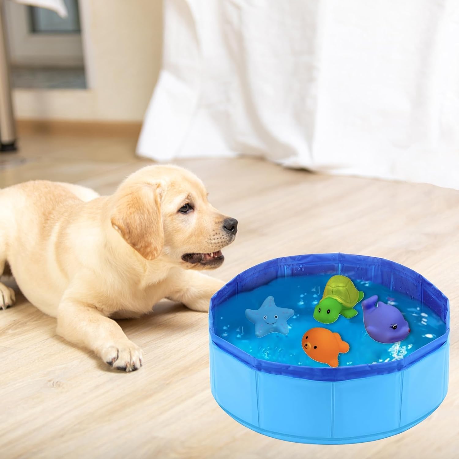 Katzenpool 30×10 cm rutschfester Mini-Pool fuer Katzen und Hunde Blau