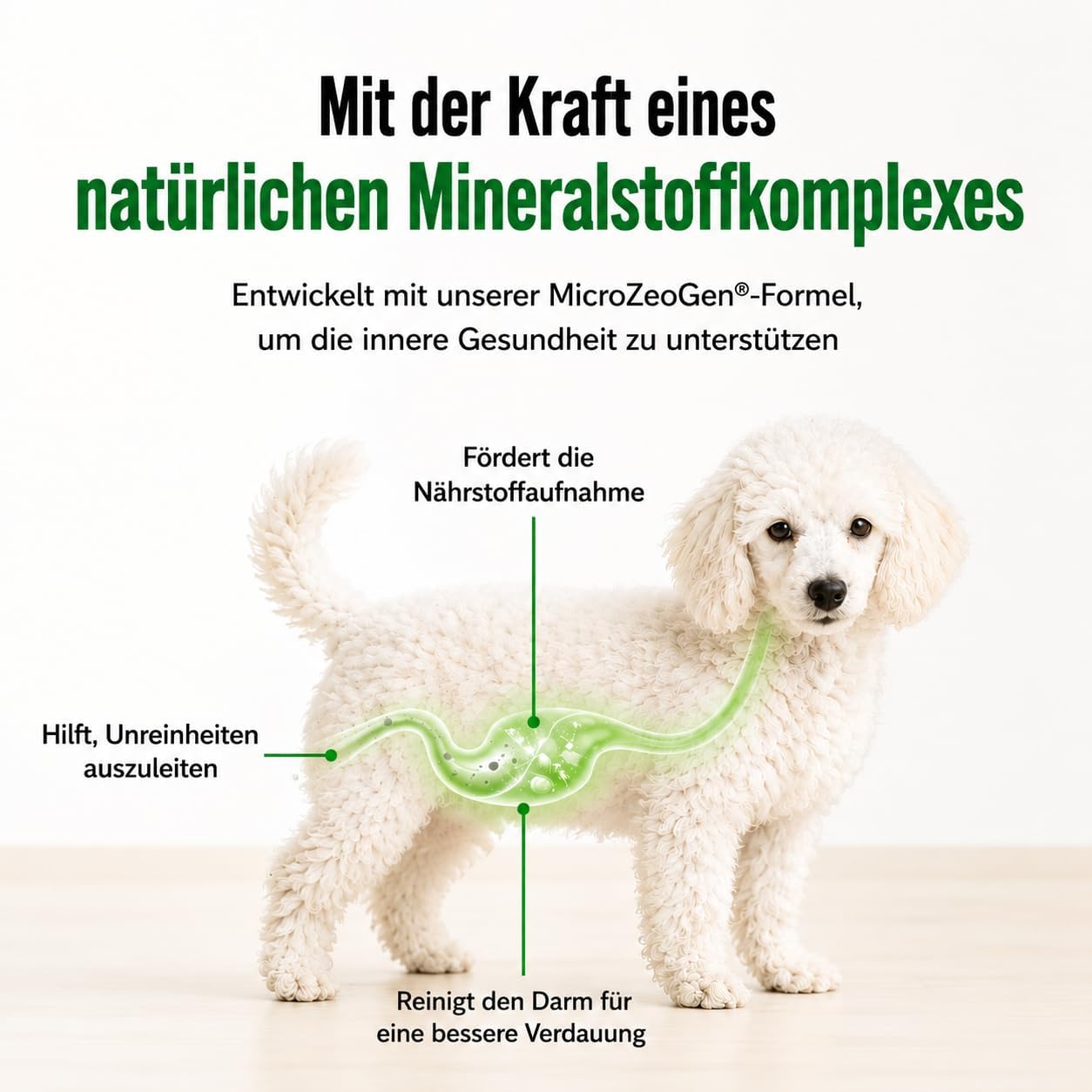 Nature's Protection Superior Care White Dogs Getreidefrei Leckerlis 150g, versch