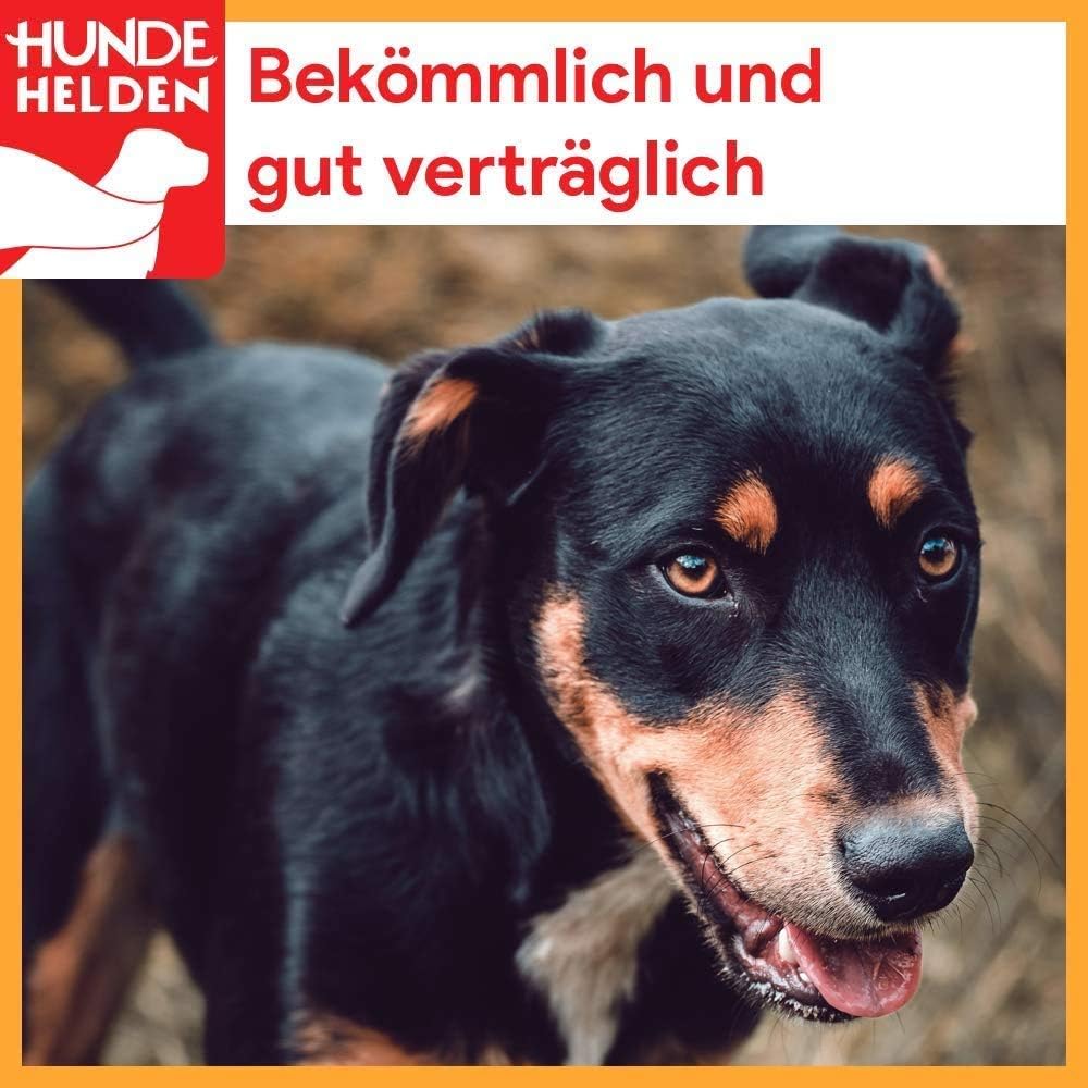 BREERs Rinderkopfhaut Kauartikel 20 cm Hunde verschiedene Sorten