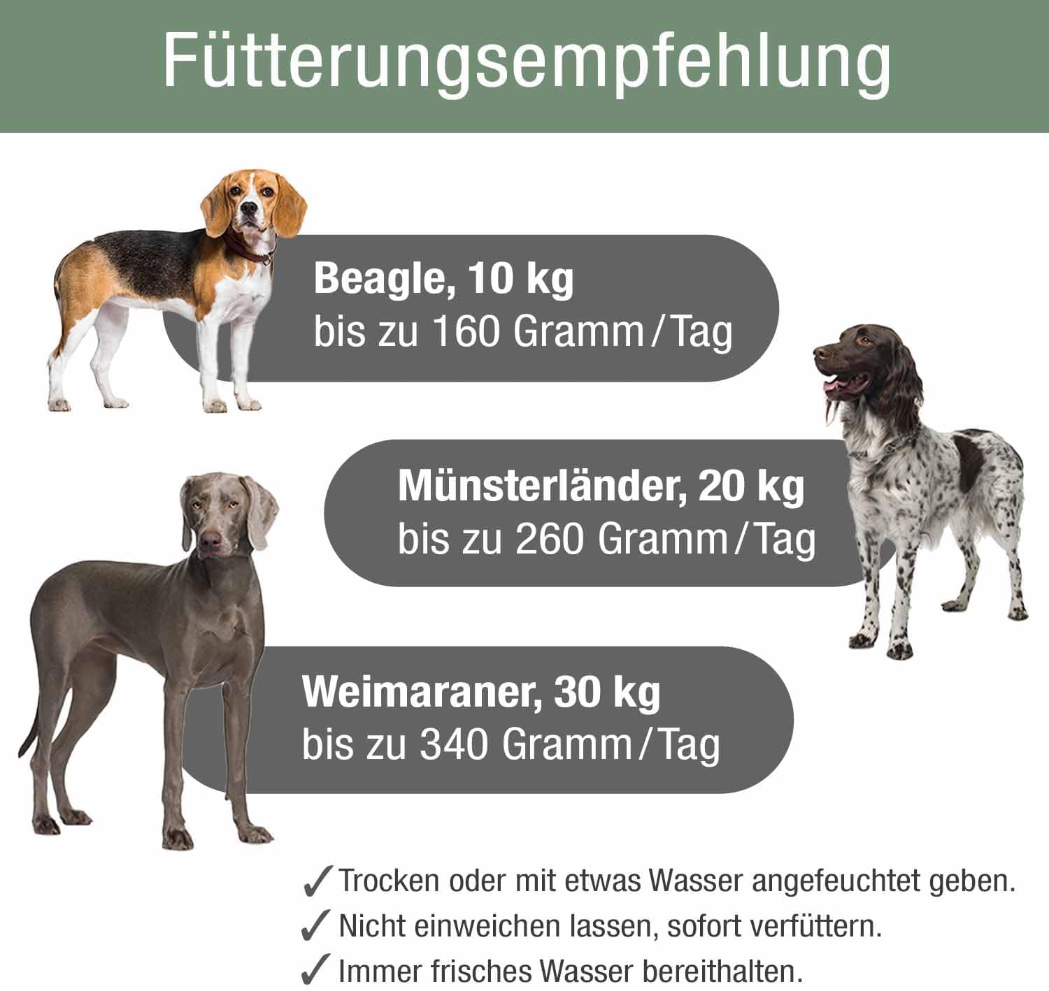 PLATINUM Adult Lamb 5 kg Trockenfutter Lamm barf-Qualität für Hunde