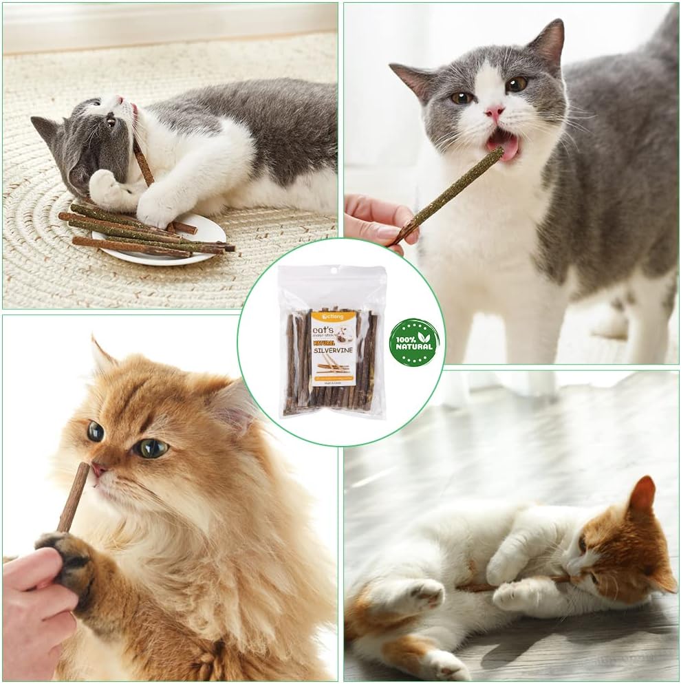 OSDUE Katzenminze Matatabi Kausticks 32 Stueck fuer Zahnpflege, Mundgeruch