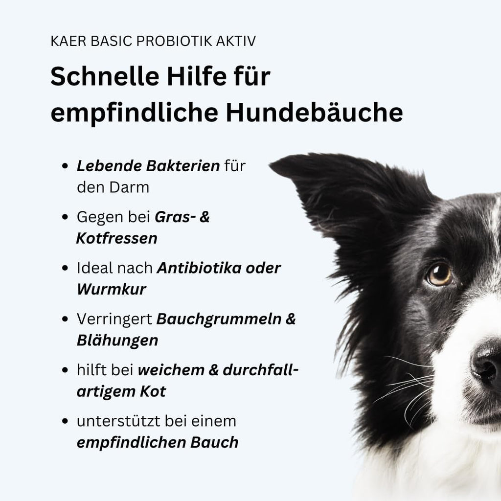 Praebiotik Pulver fuer Hunde zur Darmflorastaerkung bei Analdruesen Juckreiz