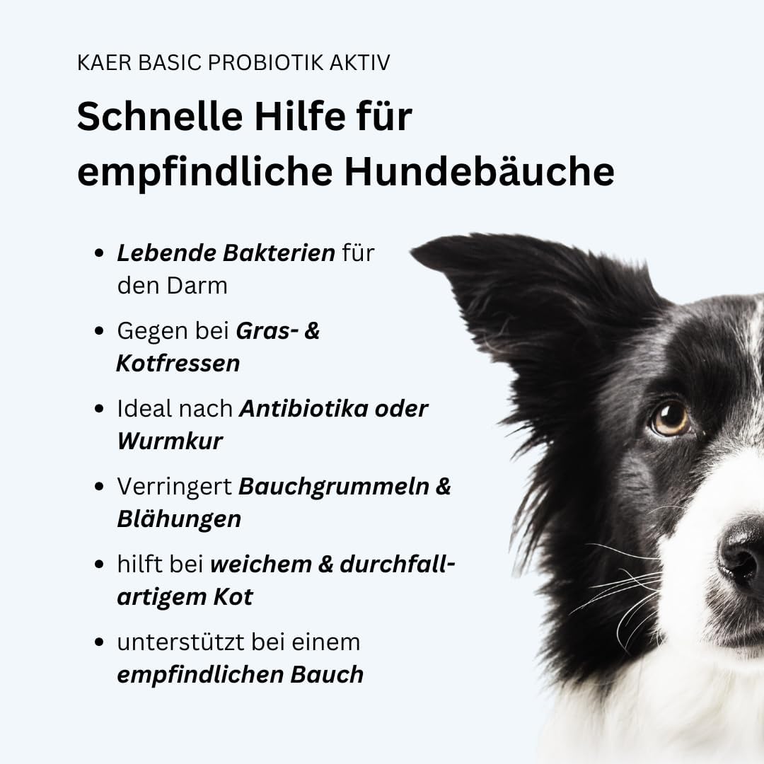 Praebiotik Pulver fuer Hunde zur Darmflorastaerkung bei Analdruesen Juckreiz