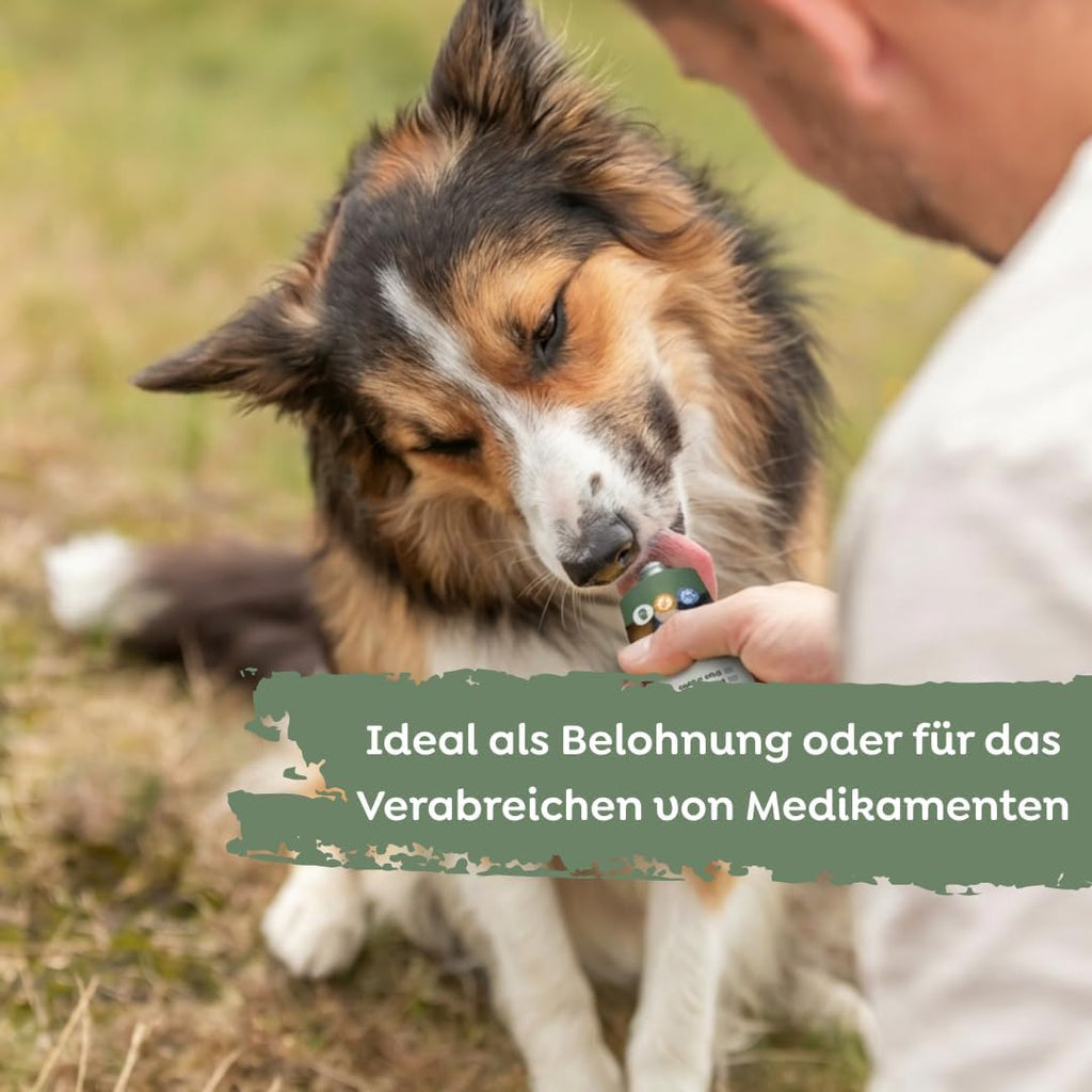 Trixie Premio Hundeleberwurst Hunde Leckerli glutenfrei ohne Zucker -30