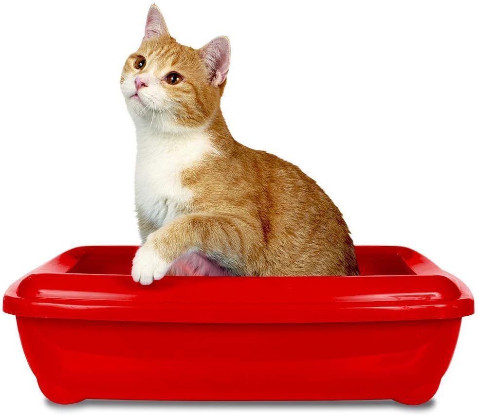 Simple Solution Geruchsentferner Katzenstreu 500 ml enzymatische Reinigung