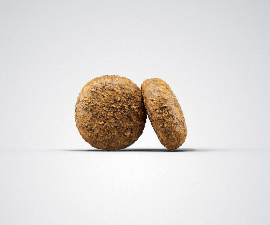Trockenfutter fuer kleine Hunde verschiedene Sorten kleine Kroketten