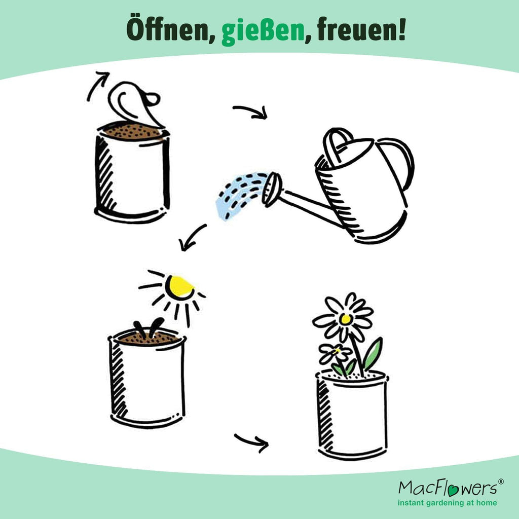 Vergissmeinnicht Anzuchtset Blumendose Pflanzset Geschenk