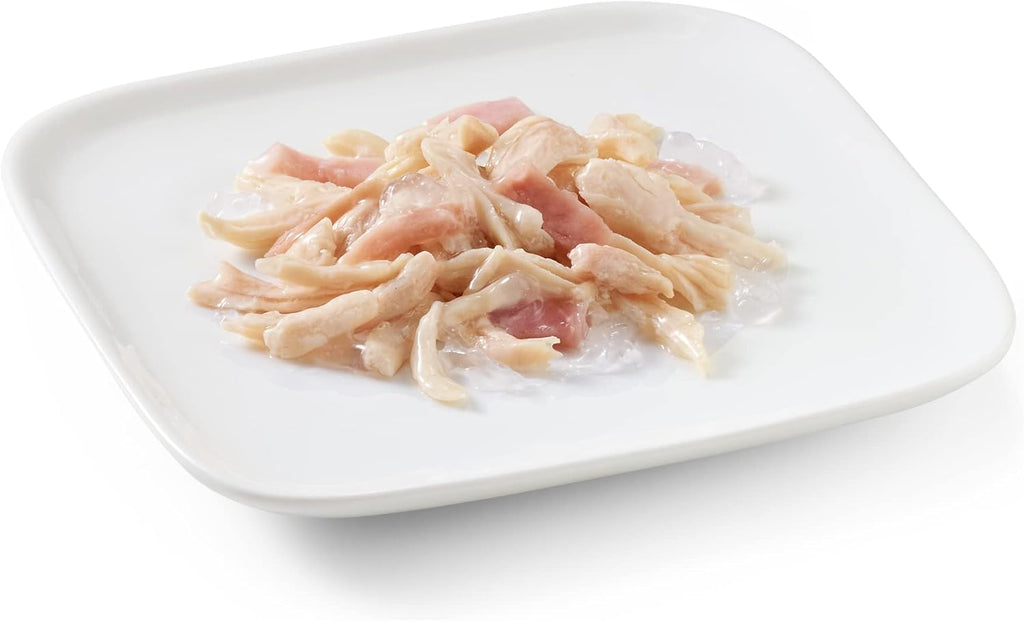 Schesir Dog Hundefutter nass verschiedene Sorten Huehnerfilet mit Lamm 6x4x85g
