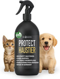 PROTECT Haustier Desinfektionsspray 500 ml alkoholfrei für Hunde und Katzen
