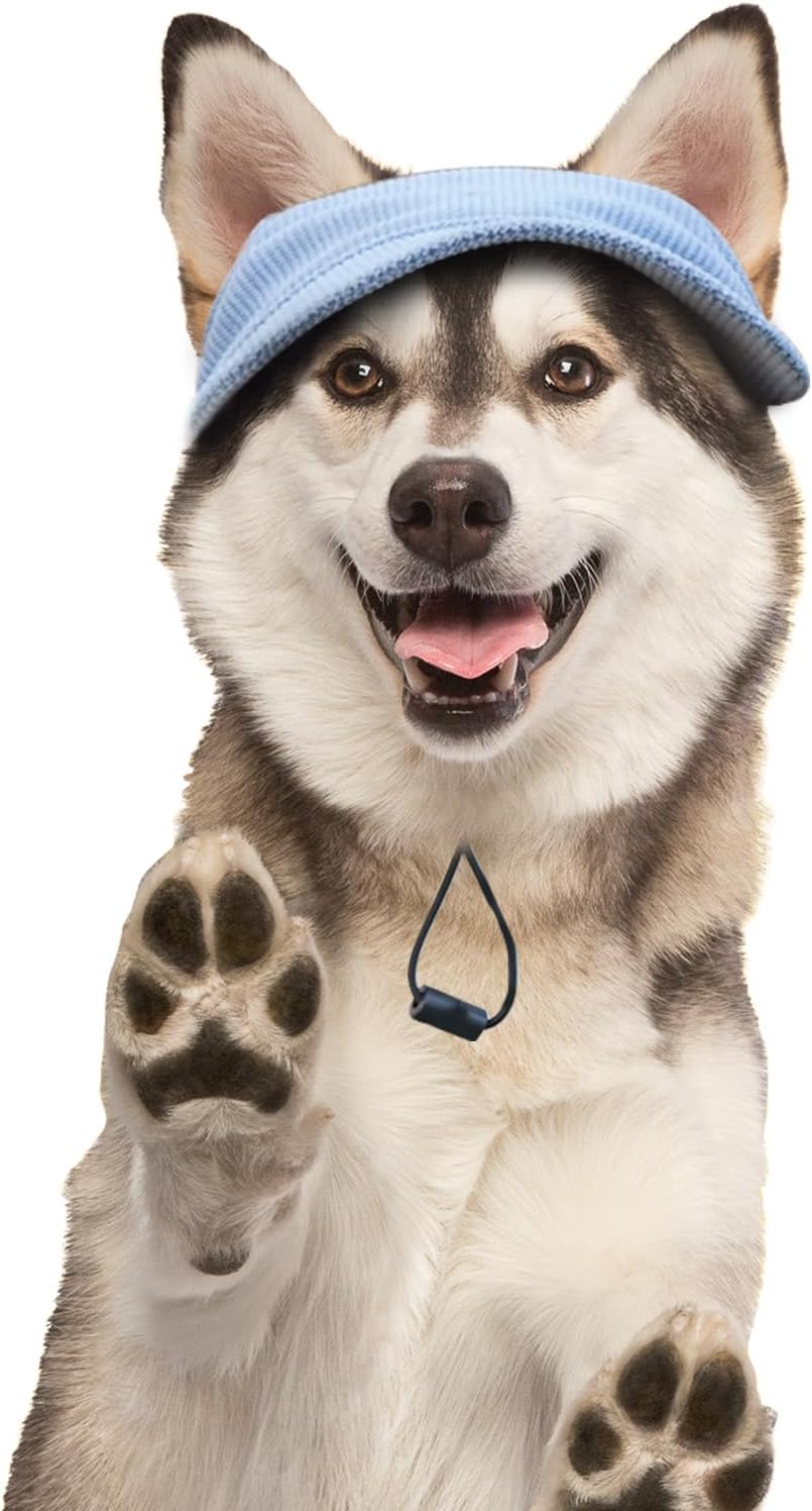 Hunde Baseballmuetze verstellbar mit Ohrloechern S-XL Hundecap Sonnenschutz