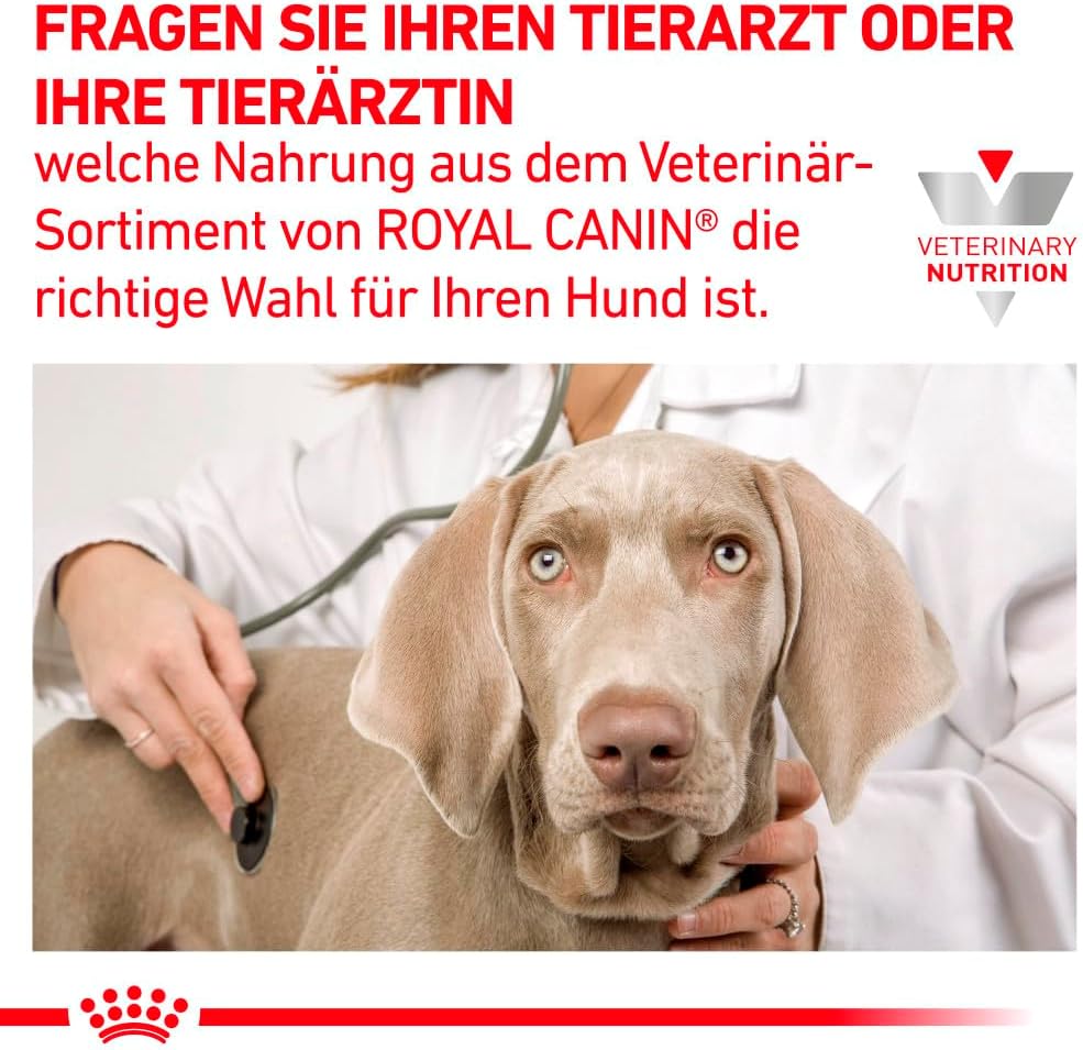 Royal Canin Veterinary Diet Gastrointestinal Hund 2kg Diaetfutter Verdauung