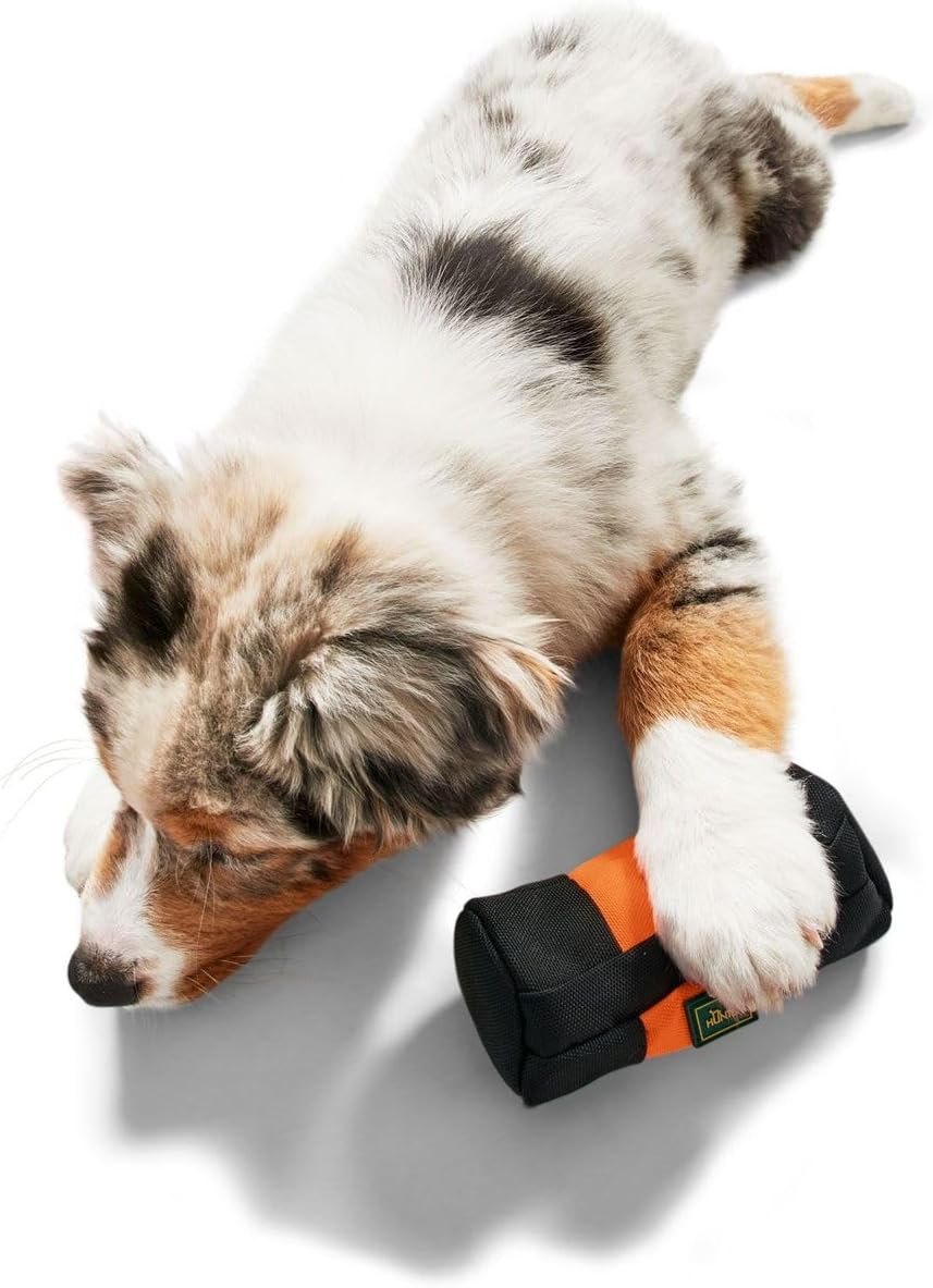 HUNTER Trainer Snack Dummy 20 cm befuellbar gepolstert zahnfreundlich 15cm-30cm