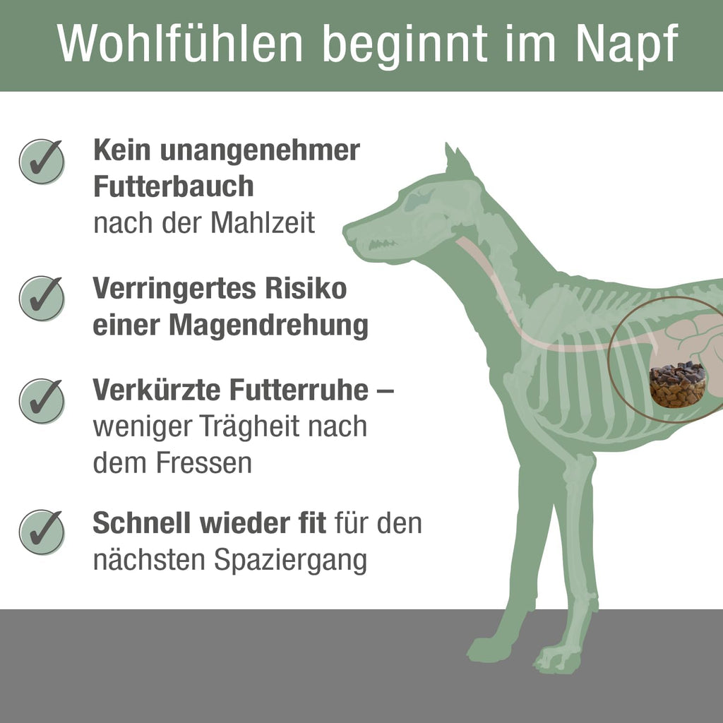 Hundenahrung Adult Chicken 5kg Trockenfutter Fleischsaftgarung nährstoffreich