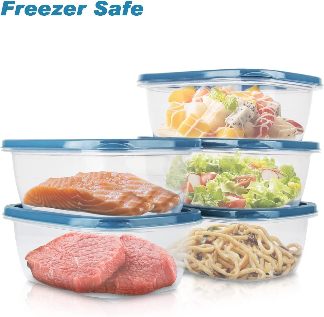 EFISH Portionsboxen 10er Set Kunststoff Lebensmittelbehaelter mit Deckel