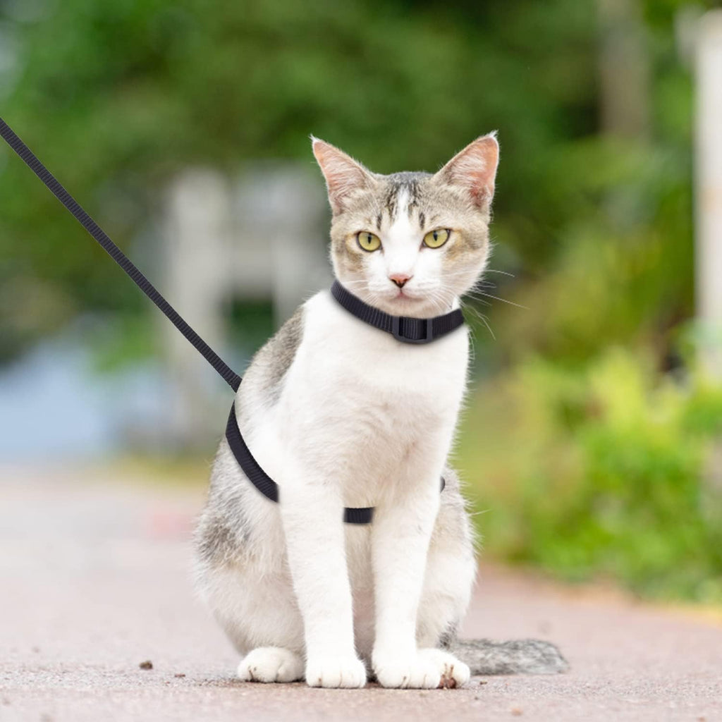 Nobleza Katzengeschirr verstellbar Nylon mit Leine fuer Katzen und Kaninchen