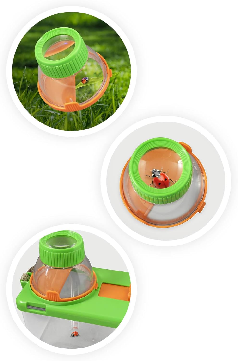 BUKI Insekten Terrarium Beobachtungsbox mit Lupe und Belüftung