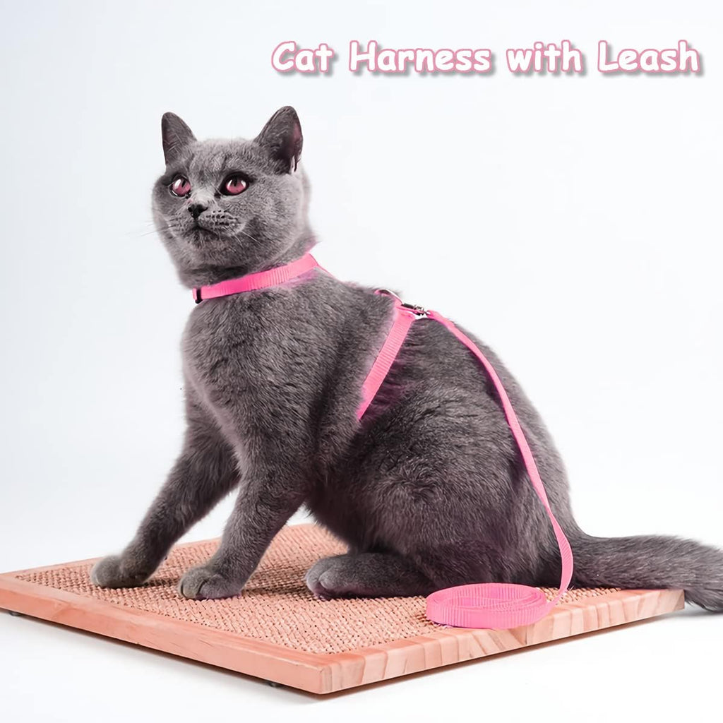 Katzen Geschirr mit Leine verstellbar Nylon ausbruchsicher Welpe Kätzchen