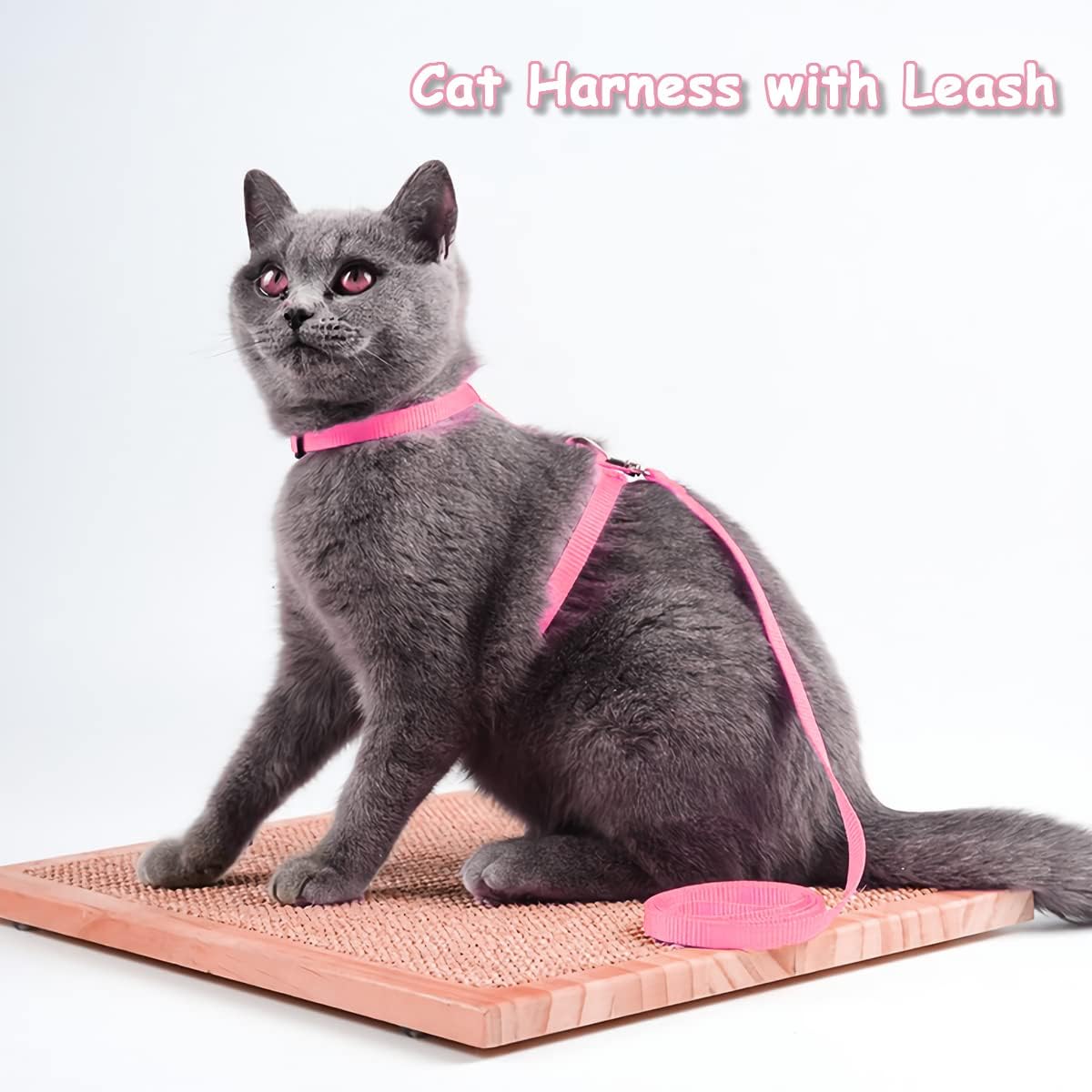 Katzen Geschirr mit Leine verstellbar Nylon ausbruchsicher Welpe Kätzchen