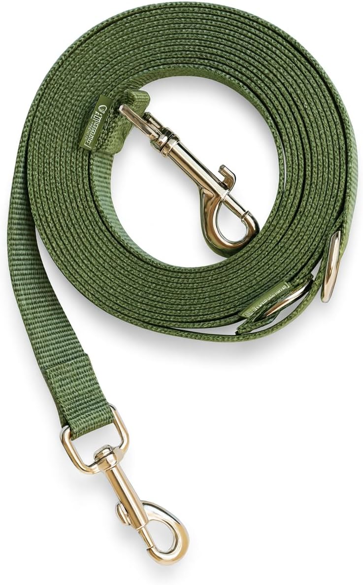 Leisegruen Hundeleine Nylon verstellbar 3m-10m mit 2 Karabinern Schwarz