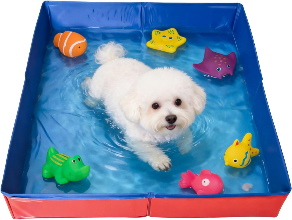 Faltbarer Hundepool 50x50x10 cm aus PVC mit 6 Fischspielzeug fuer kleine Hunde Ka